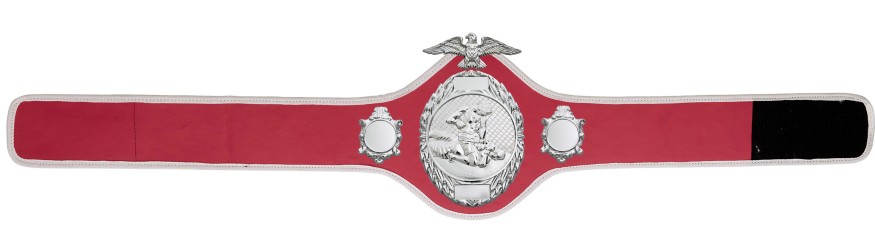 MMA CHAMPIONSHIP BELT- PRO288/S/MMAS - 10 COLOURS MMA CHAMPIONSHIP BELT- PRO288/S/MMAS - 10 COLOURS
